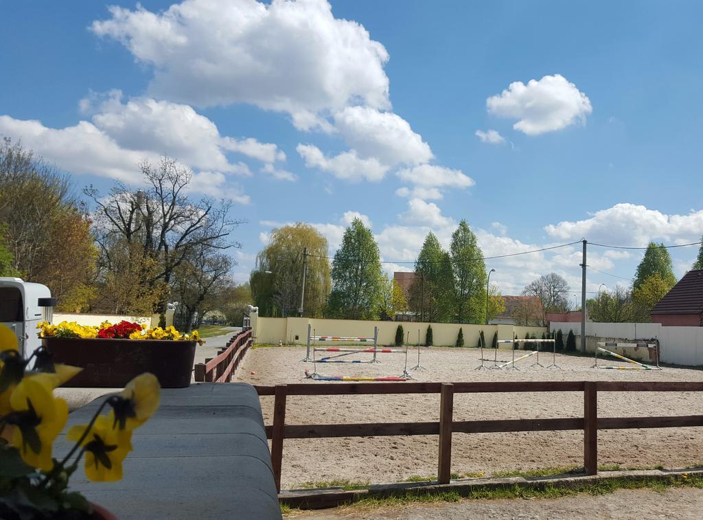 Farm Stay Nh Stables Nyrany Exterior photo