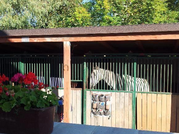 Farm Stay Nh Stables Nyrany Exterior photo